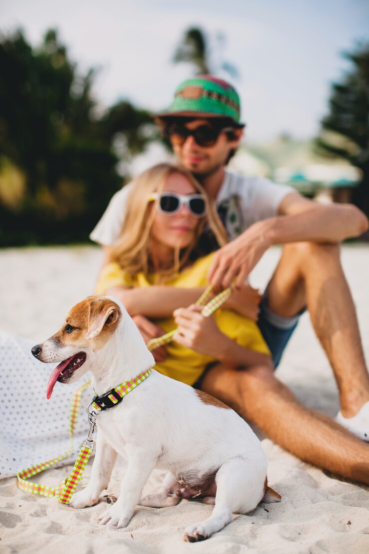 Faça sua Assessoria com a Agência de Viagem Pet e viaje com tranquilidade com seu pet em segurança.