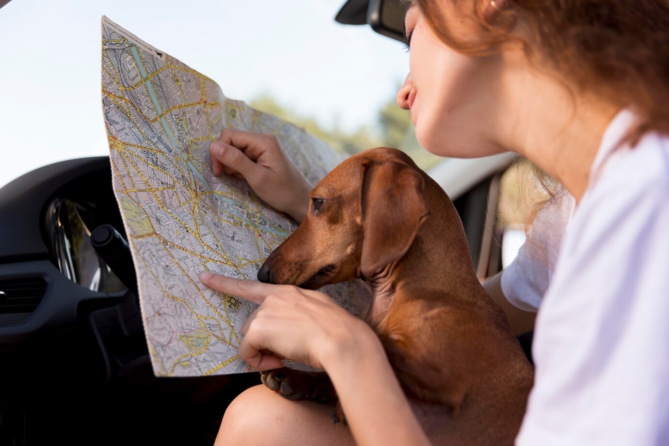 Faça sua Assessoria com a Agência de Viagem Pet e viaje com tranquilidade com seu pet em segurança.