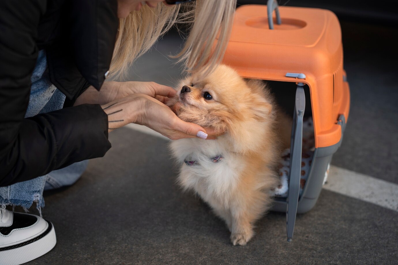 Faça sua Assessoria com a Agência de Viagem Pet e viaje com tranquilidade com seu pet em segurança.
