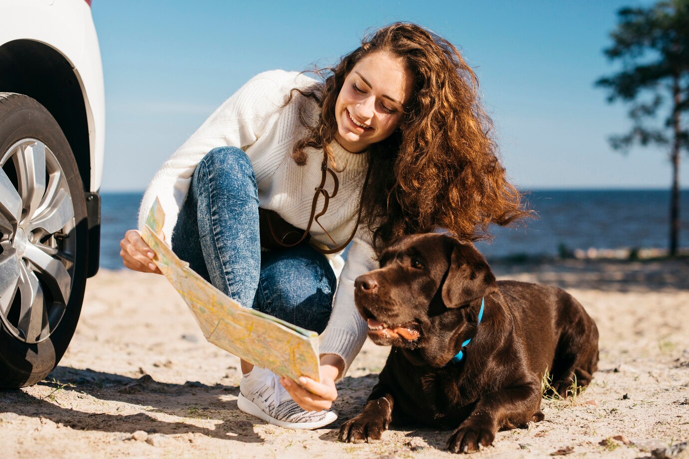 Faça sua Assessoria com a Agência de Viagem Pet e viaje com tranquilidade com seu pet em segurança.